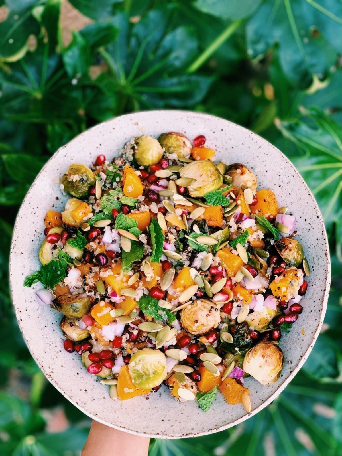 Quinoa Fall Harvest Salad - Melissa's Healthy Kitchen